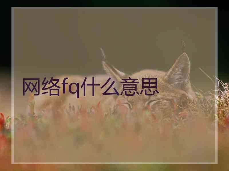 网络fq什么意思