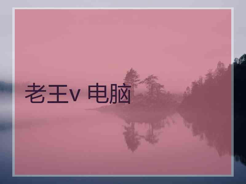 老王v 电脑