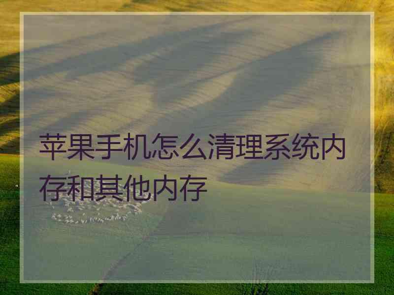 苹果手机怎么清理系统内存和其他内存