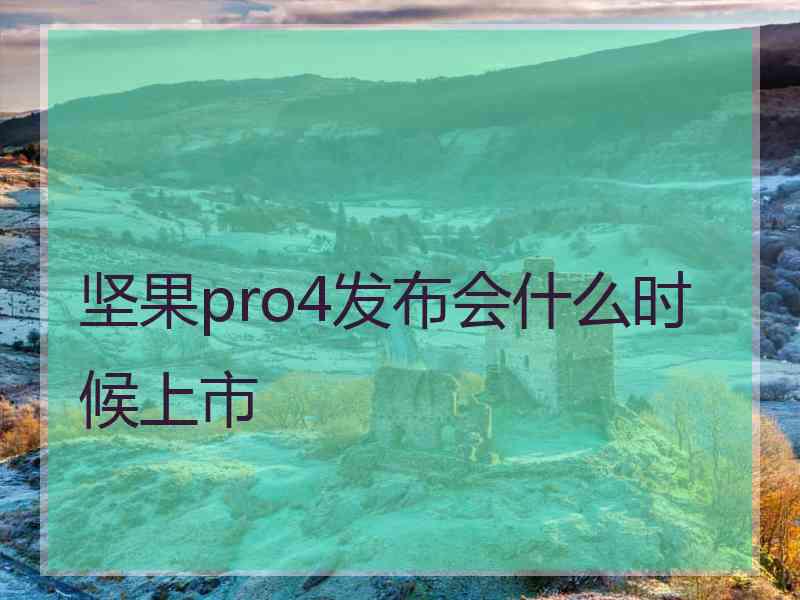 坚果pro4发布会什么时候上市