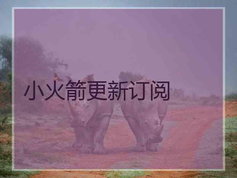 小火箭更新订阅