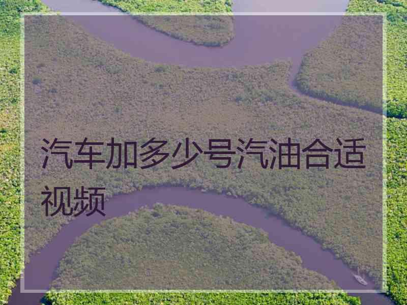 汽车加多少号汽油合适视频