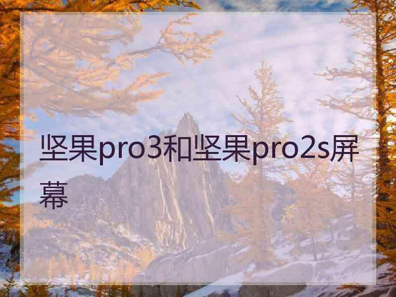 坚果pro3和坚果pro2s屏幕