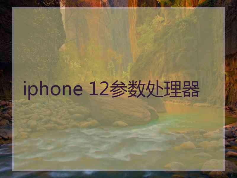 iphone 12参数处理器