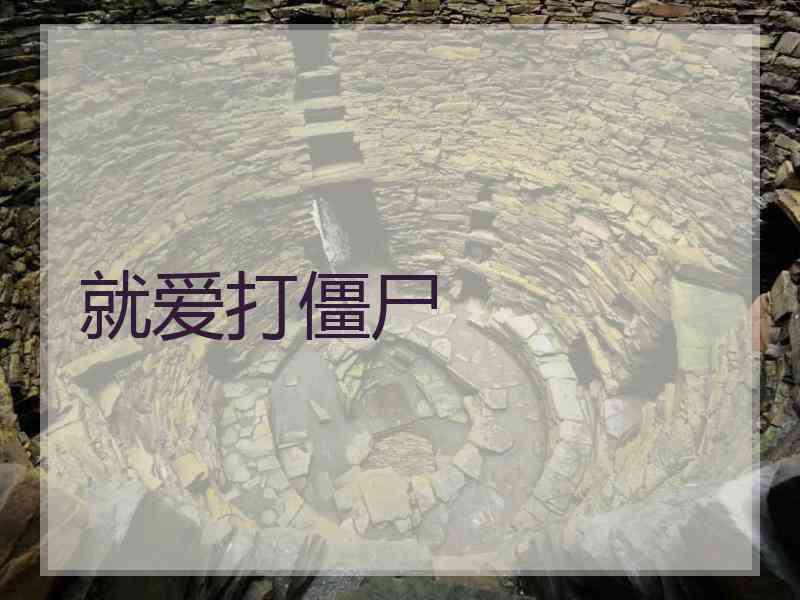 就爱打僵尸
