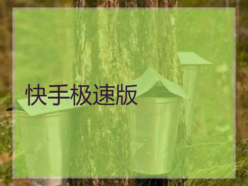 快手极速版