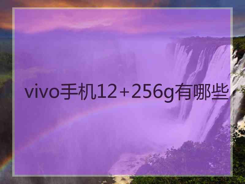 vivo手机12+256g有哪些