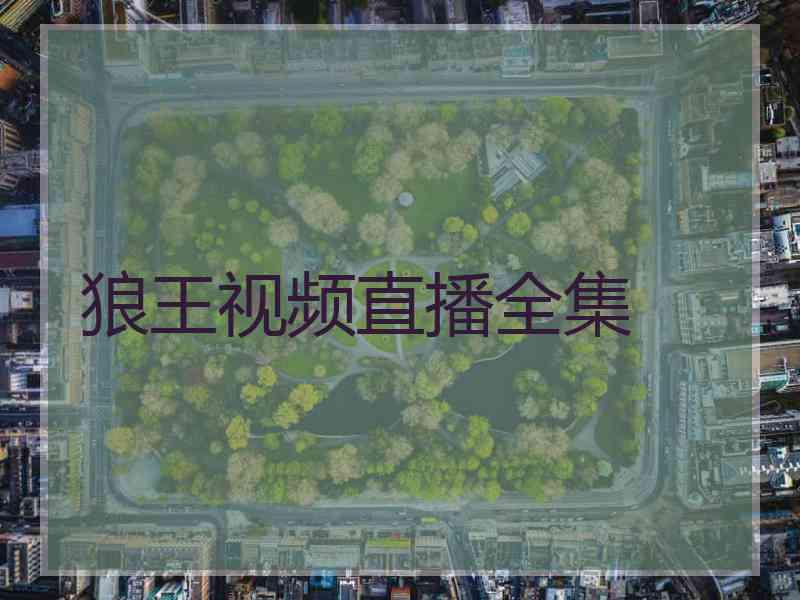 狼王视频直播全集