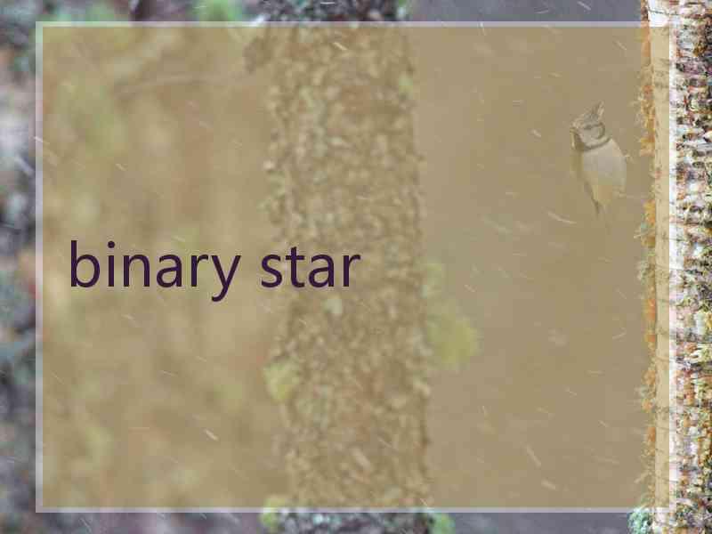 binary star