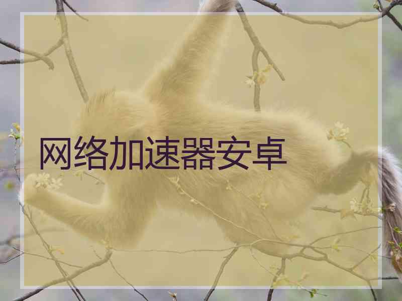 网络加速器安卓