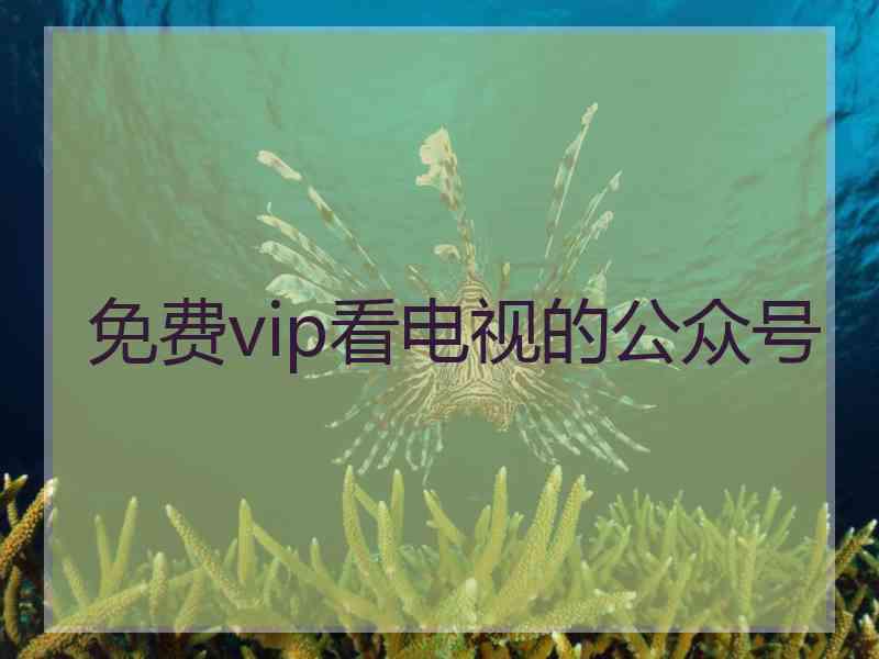 免费vip看电视的公众号