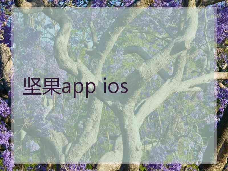 坚果app ios
