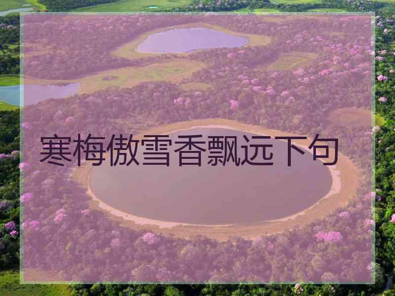 寒梅傲雪香飘远下句