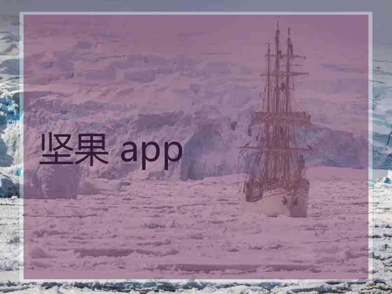 坚果 app