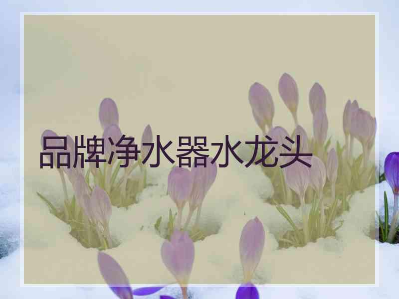 品牌净水器水龙头