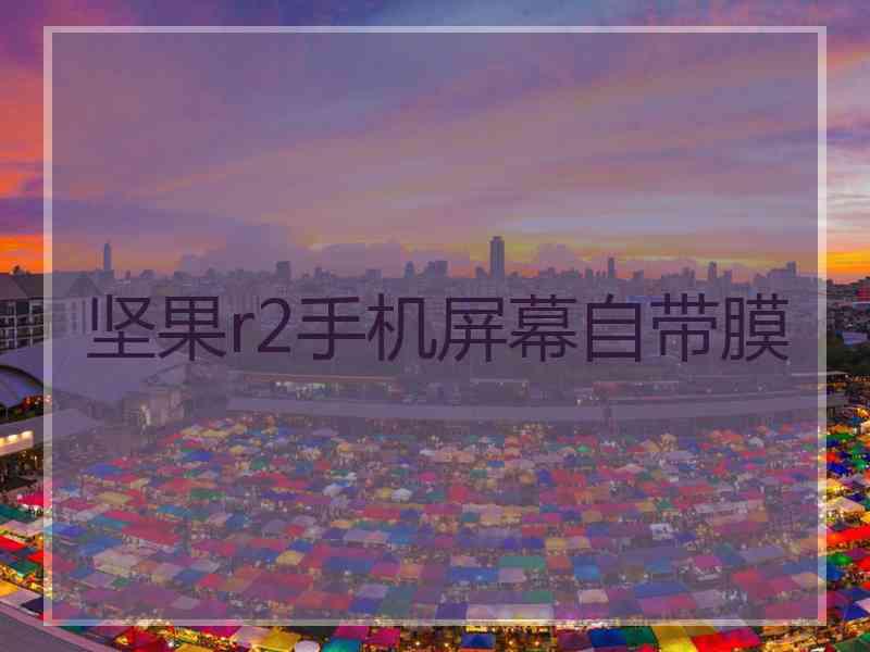坚果r2手机屏幕自带膜