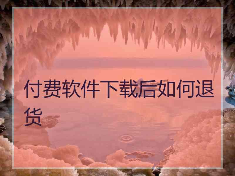 付费软件下载后如何退货