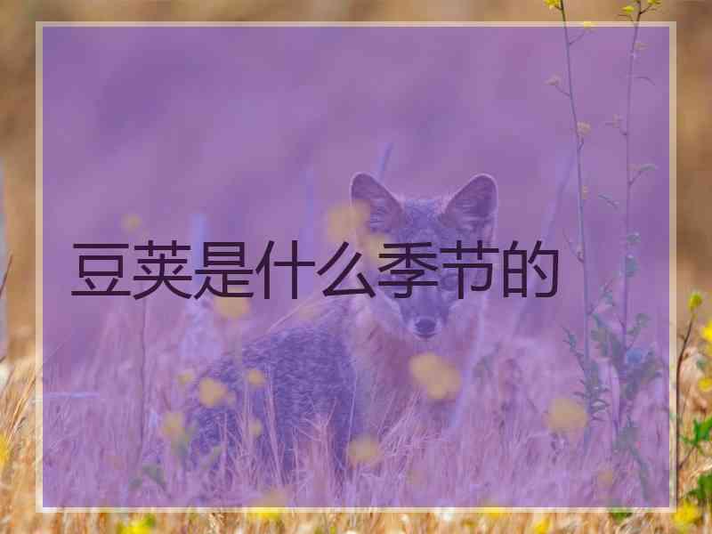 豆荚是什么季节的