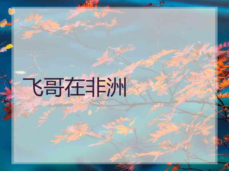 飞哥在非洲