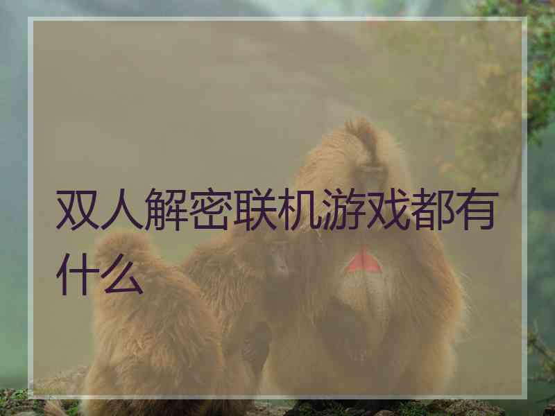双人解密联机游戏都有什么