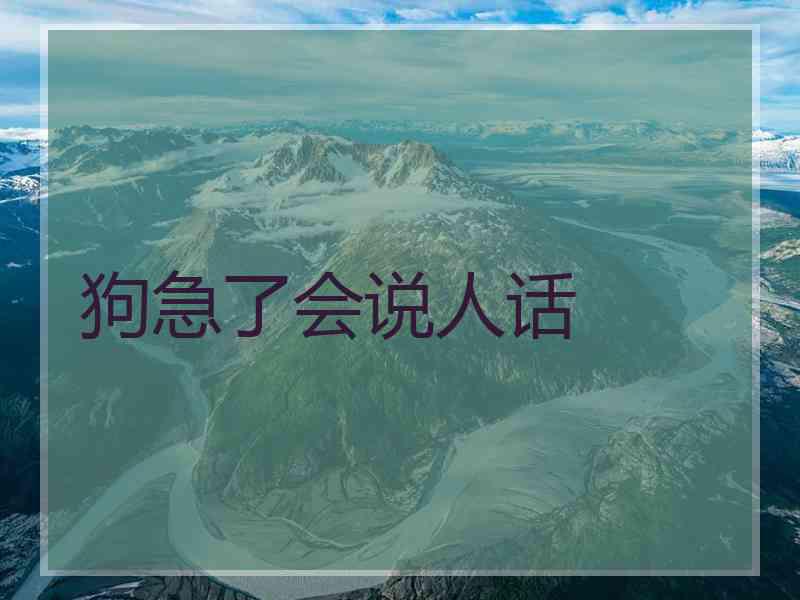 狗急了会说人话