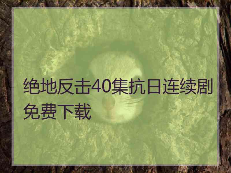 绝地反击40集抗日连续剧免费下载