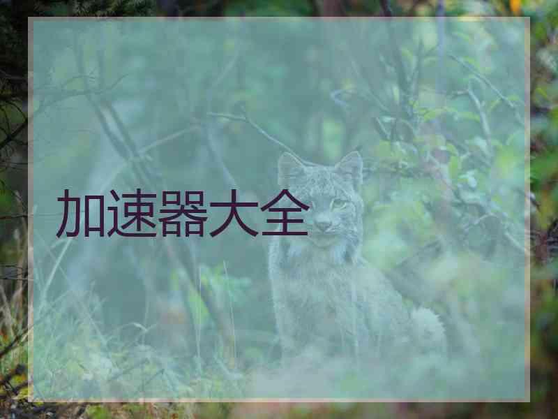 加速器大全