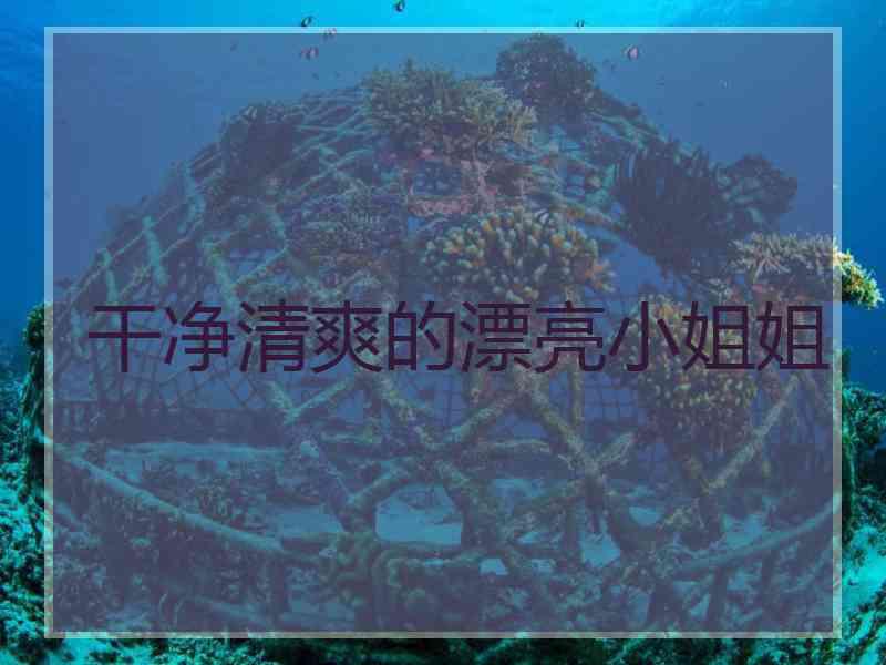 干净清爽的漂亮小姐姐