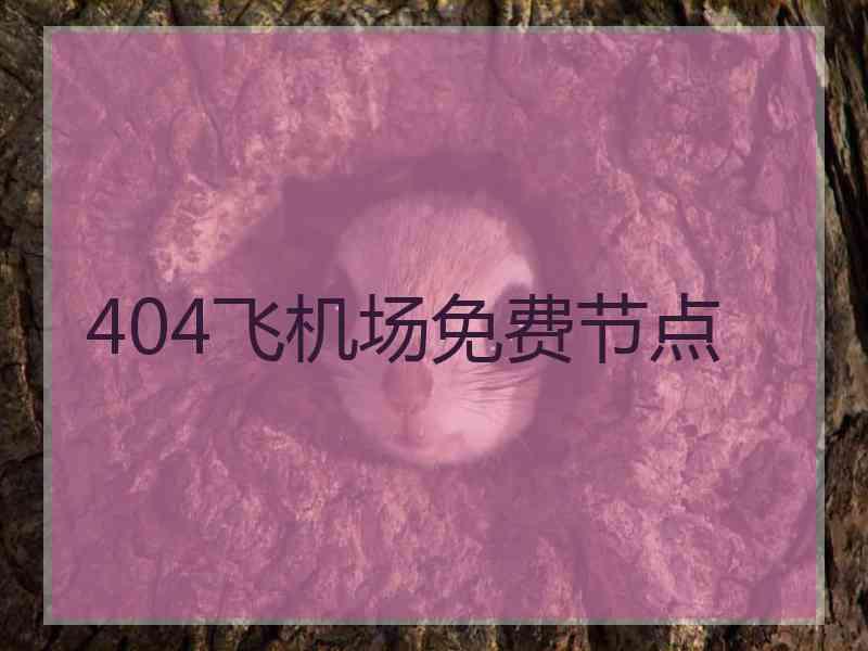 404飞机场免费节点