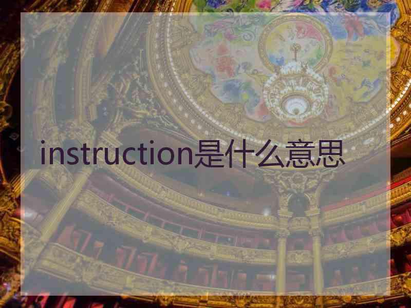 instruction是什么意思
