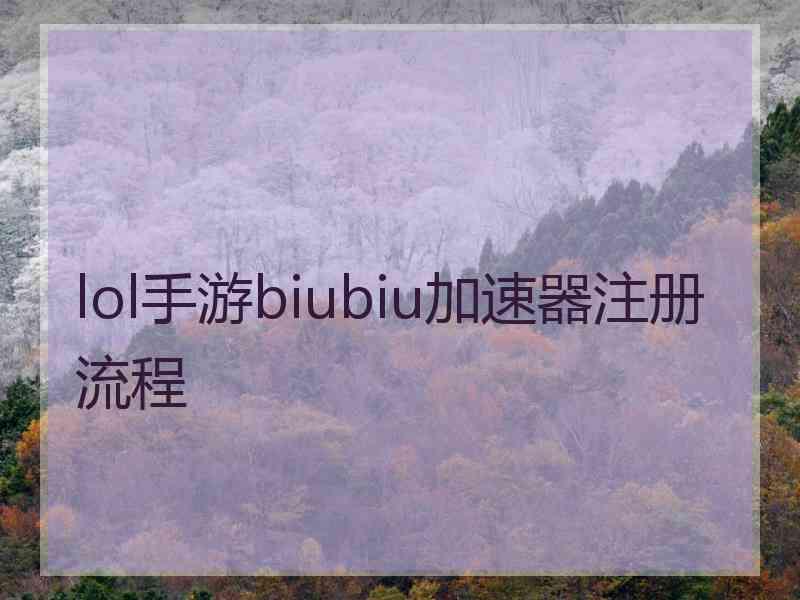 lol手游biubiu加速器注册流程