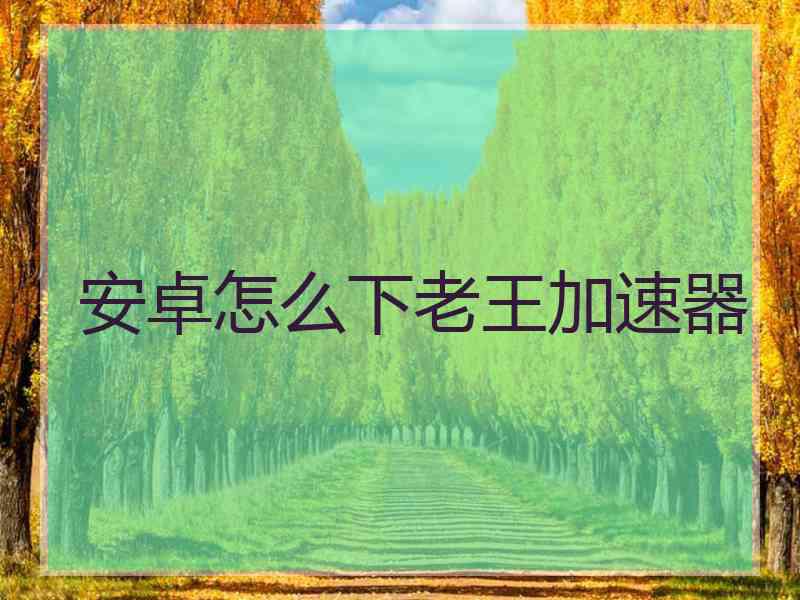 安卓怎么下老王加速器