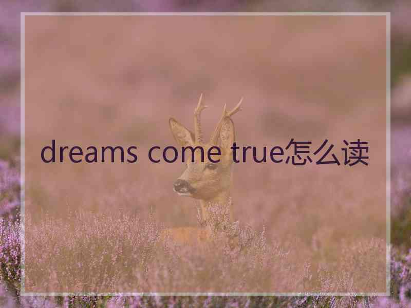 dreams come true怎么读