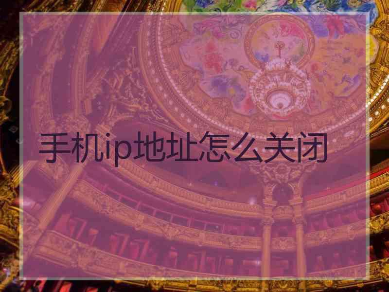 手机ip地址怎么关闭