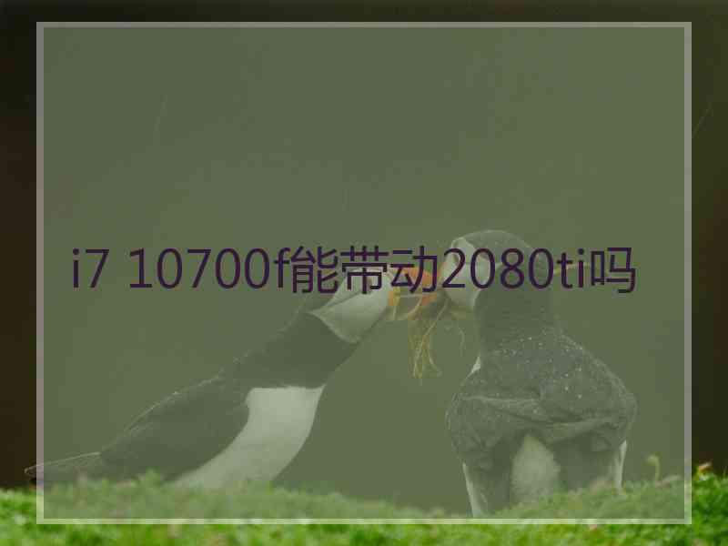 i7 10700f能带动2080ti吗