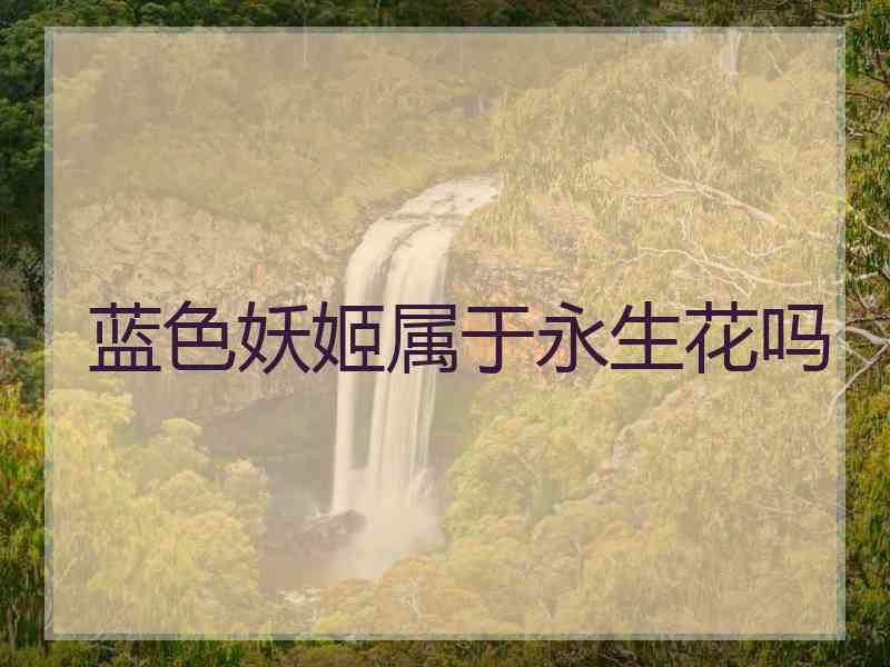 蓝色妖姬属于永生花吗