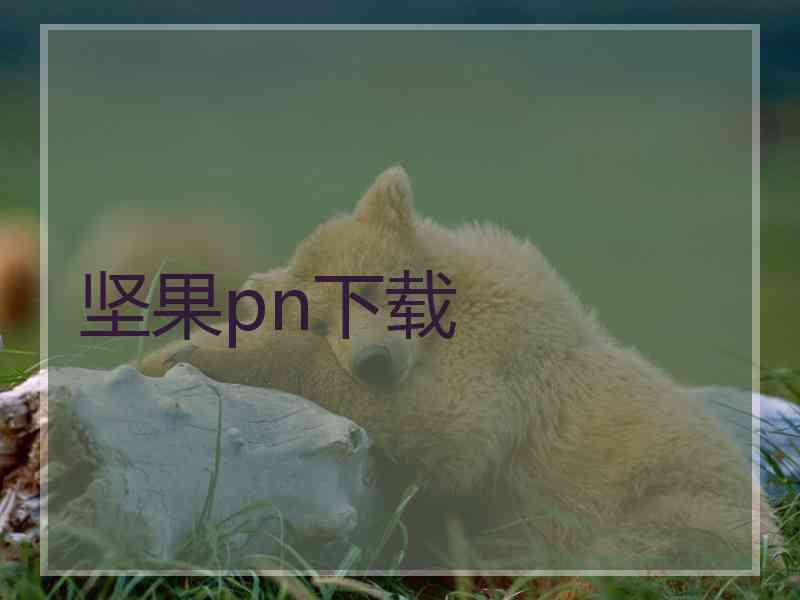 坚果pn下载