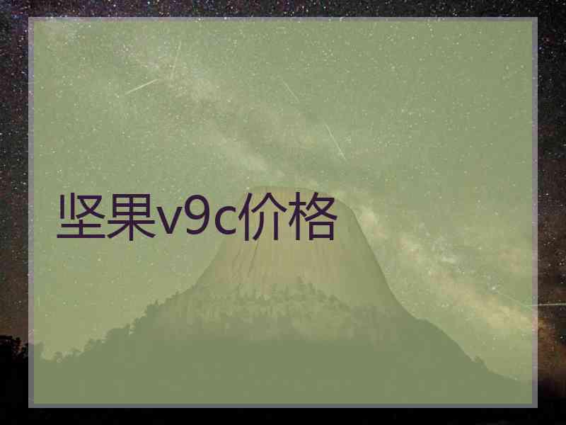 坚果v9c价格