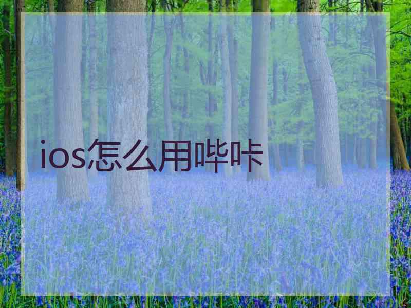 ios怎么用哔咔