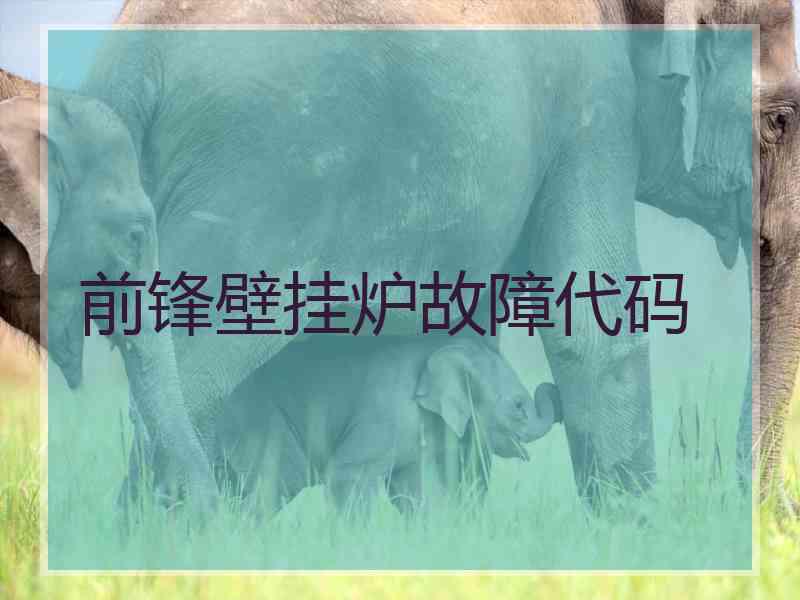 前锋壁挂炉故障代码