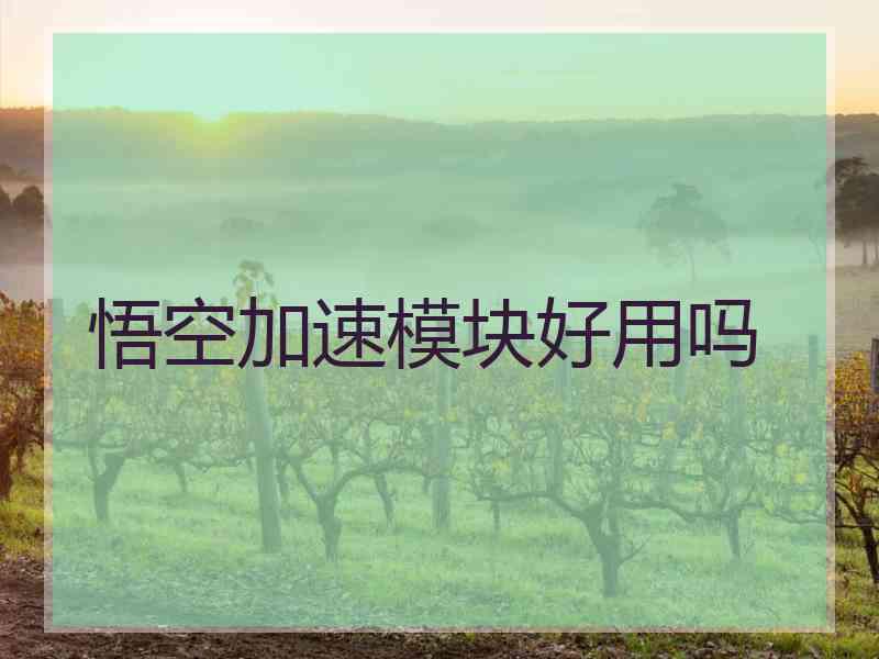 悟空加速模块好用吗