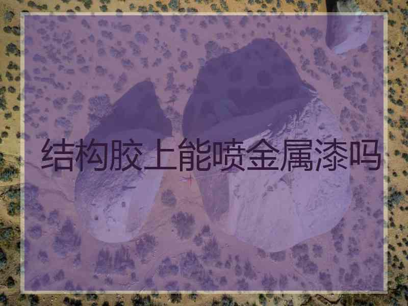 结构胶上能喷金属漆吗