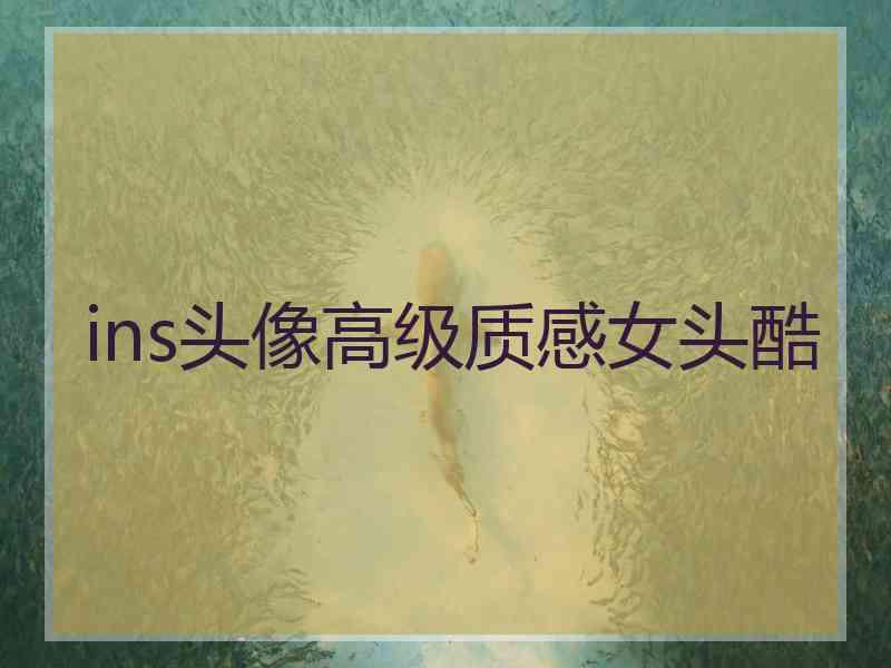 ins头像高级质感女头酷