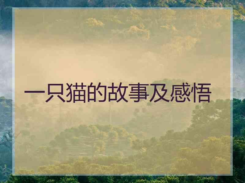 一只猫的故事及感悟