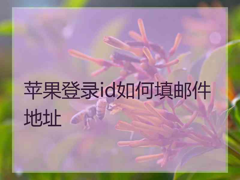 苹果登录id如何填邮件地址