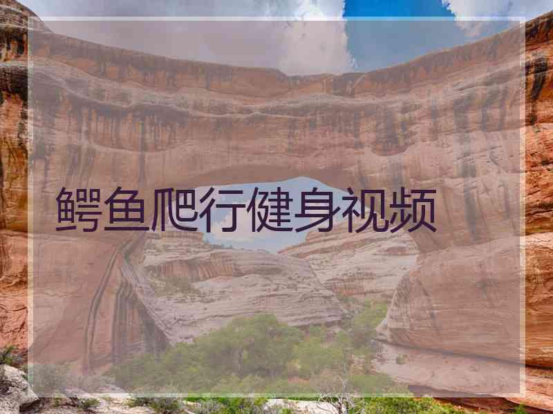 鳄鱼爬行健身视频
