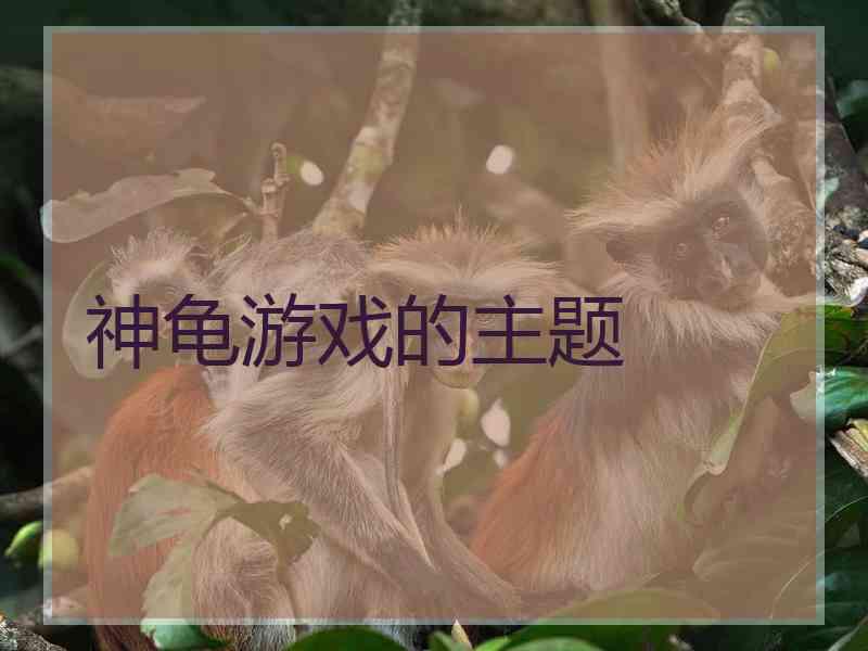 神龟游戏的主题