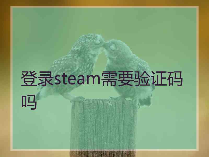 登录steam需要验证码吗