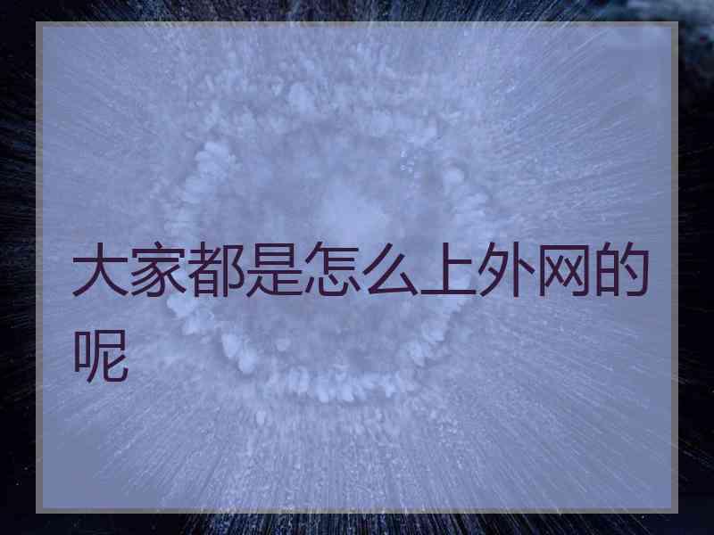 大家都是怎么上外网的呢