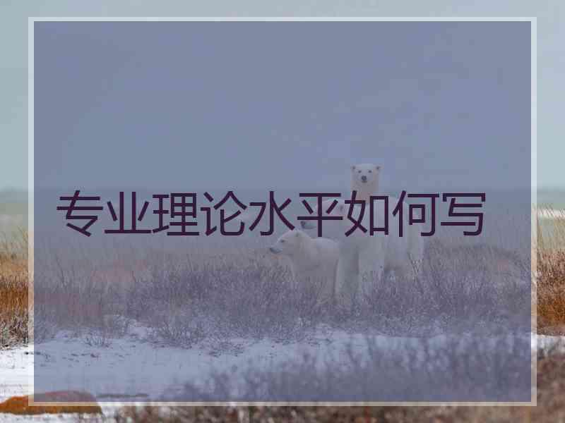 专业理论水平如何写